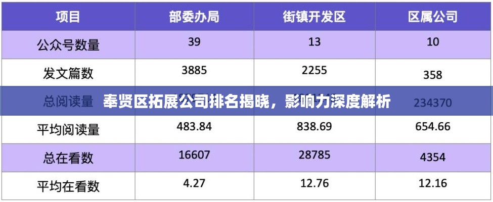 奉賢區拓展公司排名揭曉,影響力深度解析