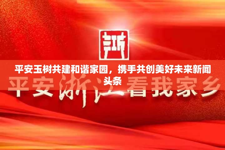 平安玉樹共建和諧家園，攜手共創(chuàng)美好未來新聞頭條
