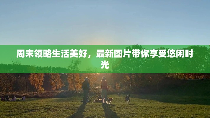 周末領(lǐng)略生活美好，最新圖片帶你享受悠閑時(shí)光