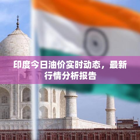 印度今日油價實時動態,最新行情分析報告