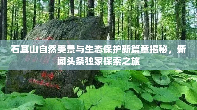 石耳山自然美景與生態保護新篇章揭秘,新聞頭條獨家探索之旅