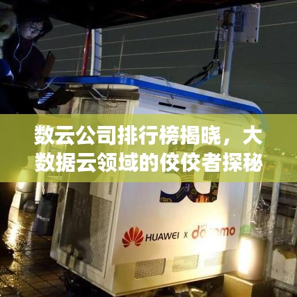 數云公司排行榜揭曉，大數據云領域的佼佼者探秘