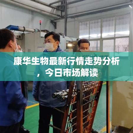 康華生物最新行情走勢分析，今日市場解讀