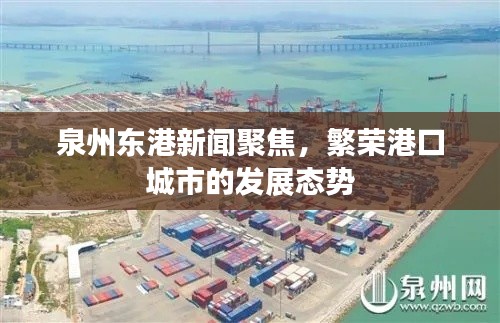 泉州東港新聞聚焦,繁榮港口城市的發(fā)展態(tài)勢