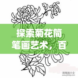 探索菊花簡筆畫藝術(shù),百度上的創(chuàng)意手繪之旅