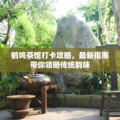 鶴鳴茶館打卡攻略,最新指南帶你領略傳統韻味