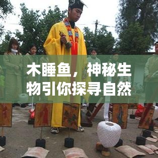 木睡魚,神秘生物引你探尋自然奧秘